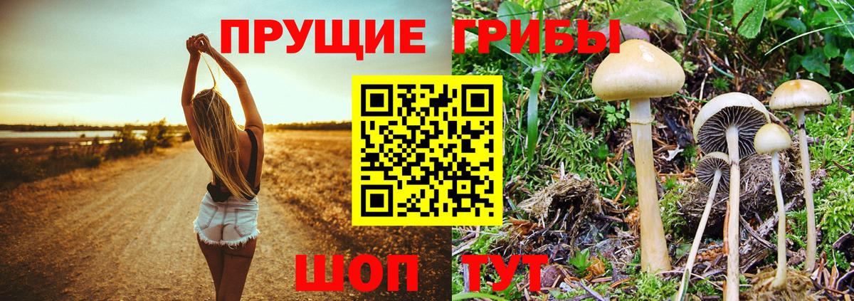 Галлюциногенные грибы Magic Shrooms Чусовой